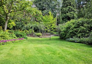 Optimiser l'expérience du jardin à La Chapelle-sur-Furieuse